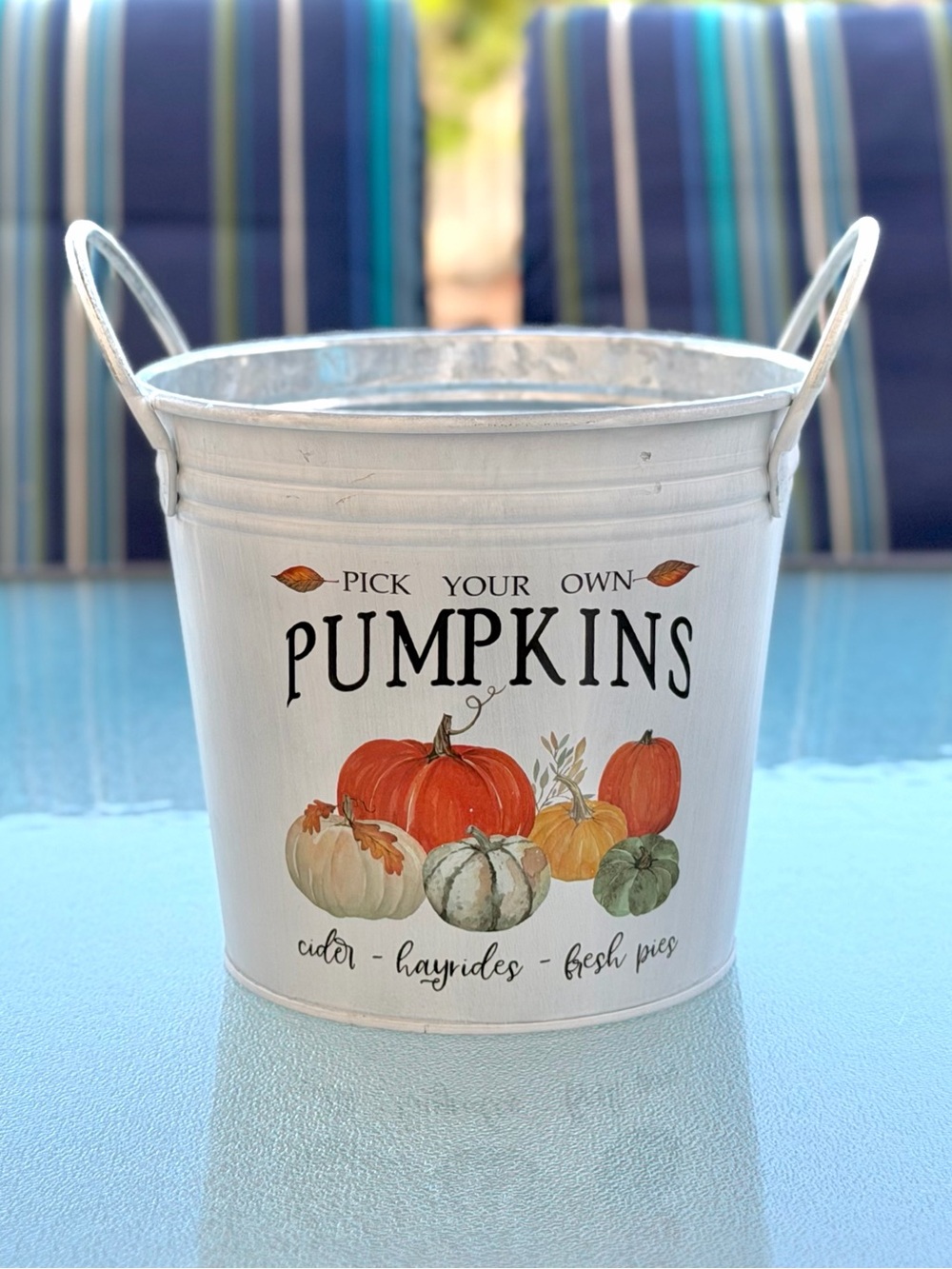 Pick Your Own Pumpkins Cider Hayrides Fresh Pies Whitewashed Metal Bucket